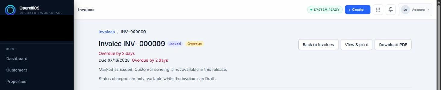 Invoice detail page opened after clicking a Queue item View invoice link